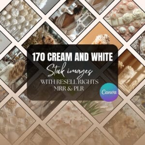 170 Cream And White STOCK IMAGES